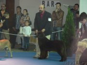 Превью фото № 135666