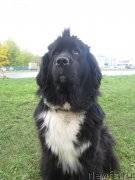 Превью фото № 135672