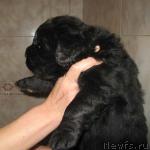 Превью фото № 1357