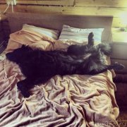 Превью фото № 135710