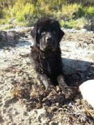 Превью фото № 135740