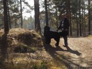 Превью фото № 135751