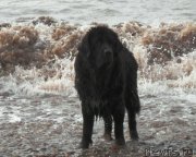 Превью фото № 135808