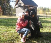 Превью фото № 135917