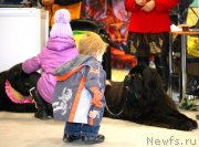 Превью фото № 135986