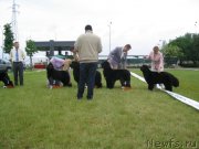 Превью фото № 136040