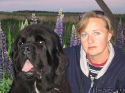 Превью фото № 136051