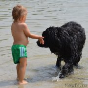 Превью фото № 136072