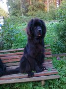 Превью фото № 136094