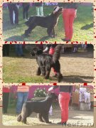 Превью фото № 136098