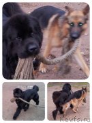 Превью фото № 136177