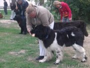 Превью фото № 136283