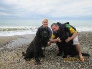 Превью фото № 136302