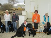 Превью фото № 136305