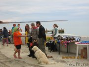 Превью фото № 136306