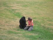 Превью фото № 136342