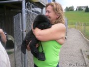 Превью фото № 136348