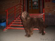 Превью фото № 136365