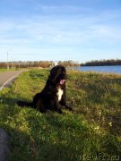 Превью фото № 136424