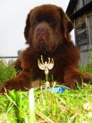 Превью фото № 136511