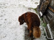 Превью фото № 136513