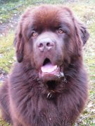 Превью фото № 136514