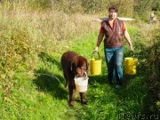 Превью фото № 136517