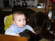 Превью фото № 136518