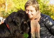 Превью фото № 136534