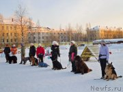 Превью фото № 136555