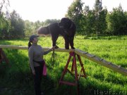 Превью фото № 136557