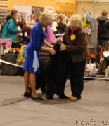 Превью фото № 136590