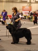 Превью фото № 136593