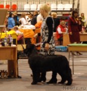 Превью фото № 136594