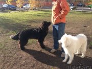 Превью фото № 136603