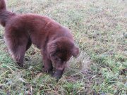 Превью фото № 136614