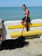 Превью фото № 136624