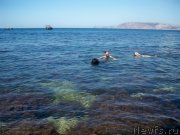 Превью фото № 136631