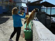 Превью фото № 136713