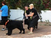 Превью фото № 136714