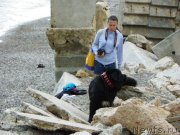 Превью фото № 136717