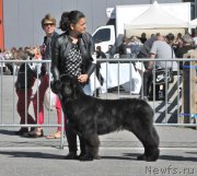 Превью фото № 136718