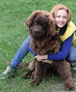 Превью фото № 136737