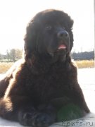 Превью фото № 136848