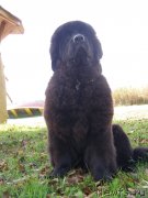 Превью фото № 136849