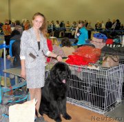 Превью фото № 136861