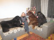 Превью фото № 136873