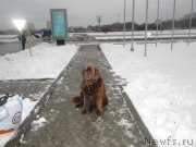 Превью фото № 136876