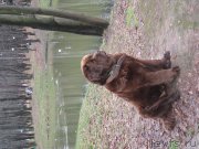 Превью фото № 136880