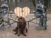 Превью фото № 136885